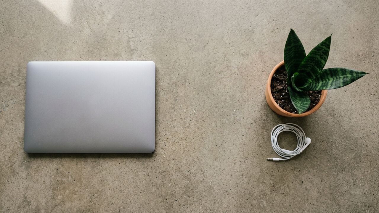 A closed silver-grey laptop, a small green snake plant in a terracotta pot and a coiled white earphone wire on a warm grey concrete surface — emergency cyber fraud hero